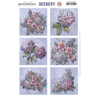 Scenery - Hydrangea square