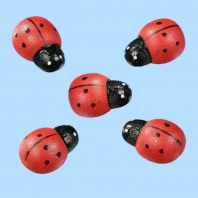 Hobbyfun - Lieveheersbeestjes 12 stuks
