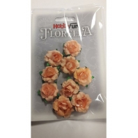 Hobbyfun - Florella - roosjes perzik - 9 stuks