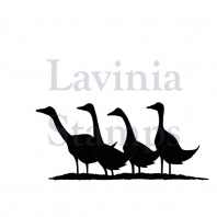 Lavinia - Gaggle Of Geese 
