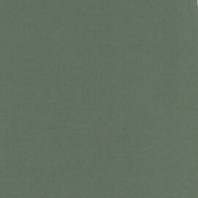 Card Deco Essentials - Linnenkarton A5 - Basilicum 41 - 10 stuks