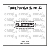 Creaties  Texto Positivo - SUCCES