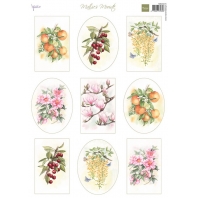 Marianne Design - knipvel Mattie's Mooiste - Fruit t & Flowers