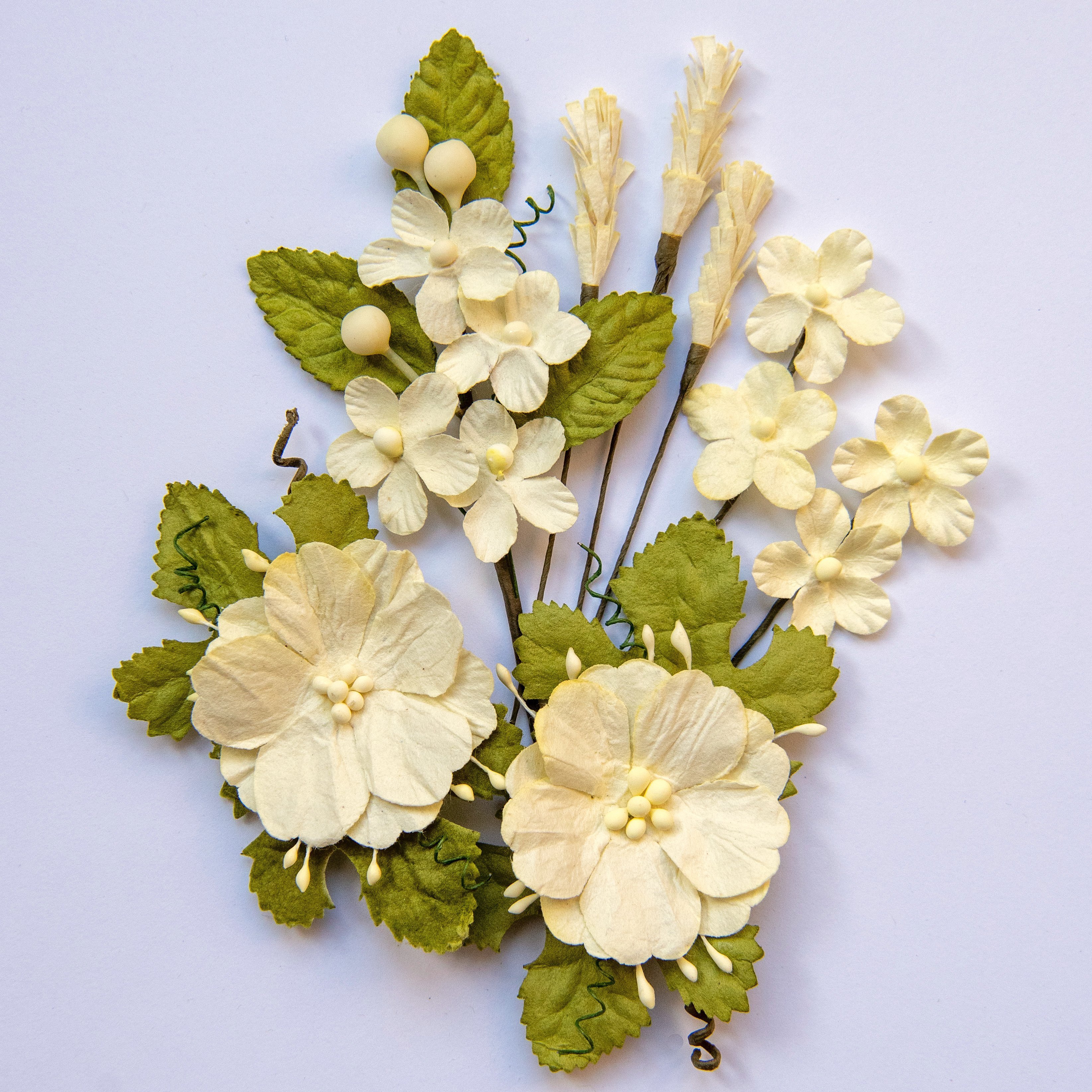 Wild Flowers - Cream