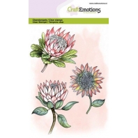 CraftEmotions clearstamps A6 - protea 3 bloemen